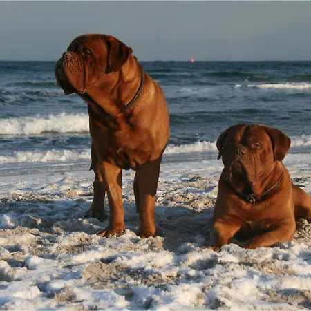 Ruhe Und Sturm Direkt Am Mit Kamin Nur Fuer Erwachsene Lejlighed