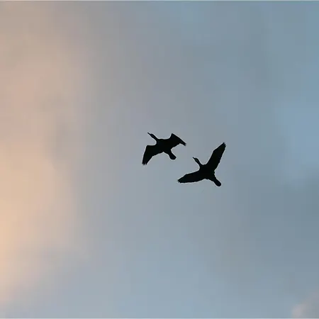 Ruhe Und Sturm Direkt Am Mit Kamin Nur Fuer Erwachsene Apartmán